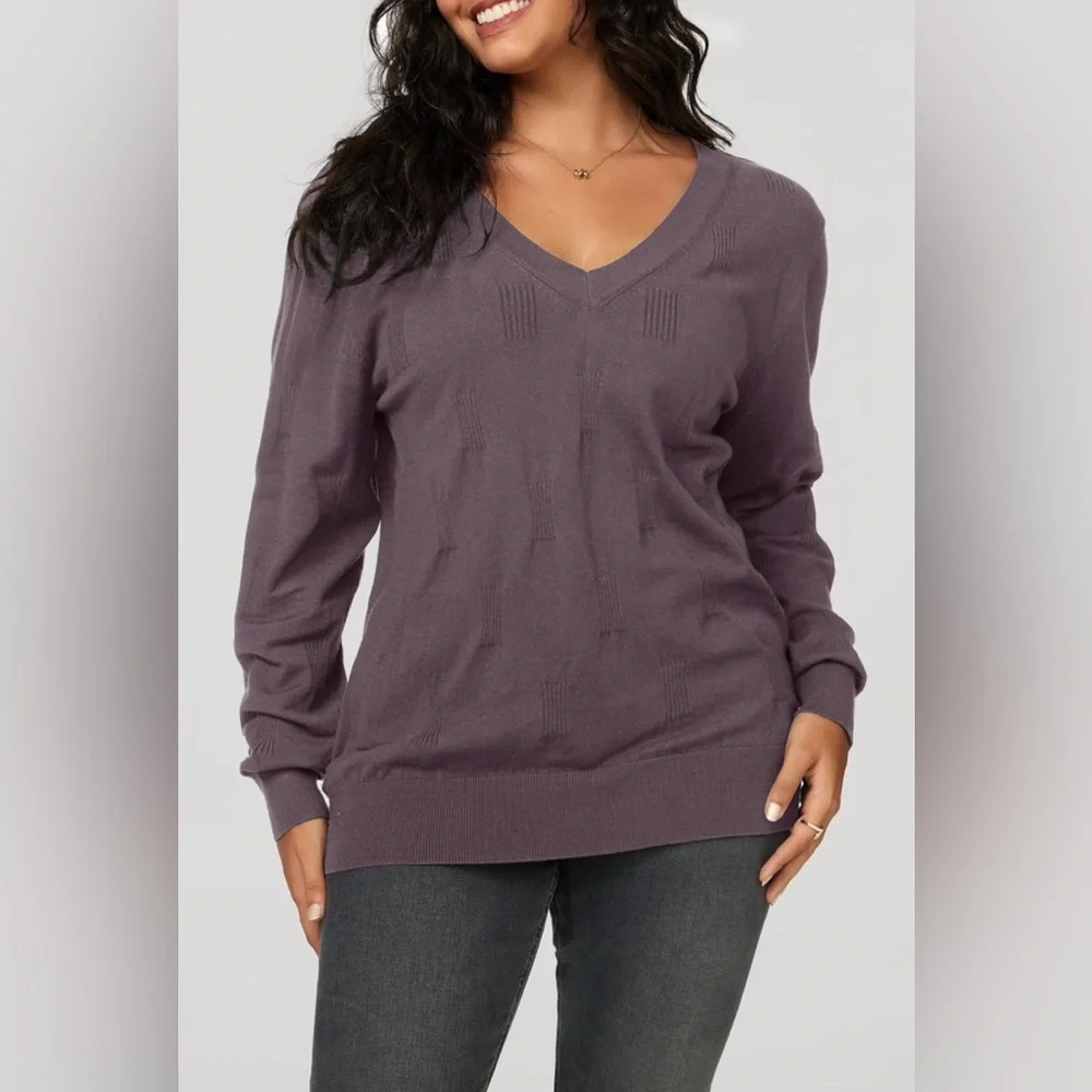 💜Arach & Cloz Sweater V Neck Casual Pullover Cozy Gray Purple - Size XL - Picture 2 of 10